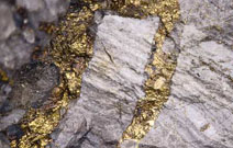 veine d'or dans la roche